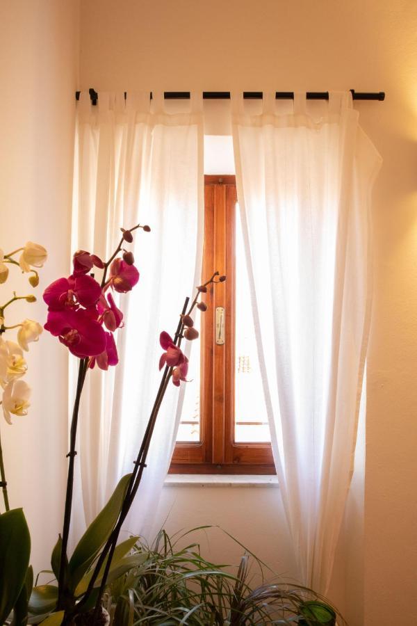 Panorama Guest House 3*