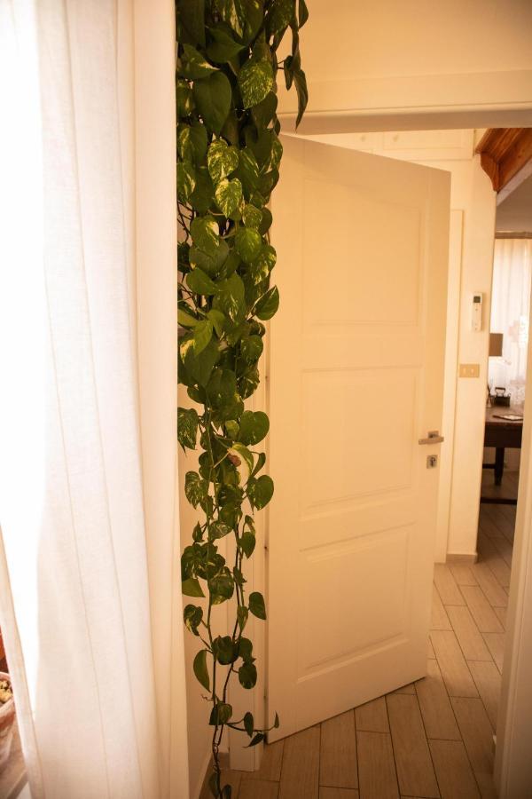 Bed & Breakfast Panorama