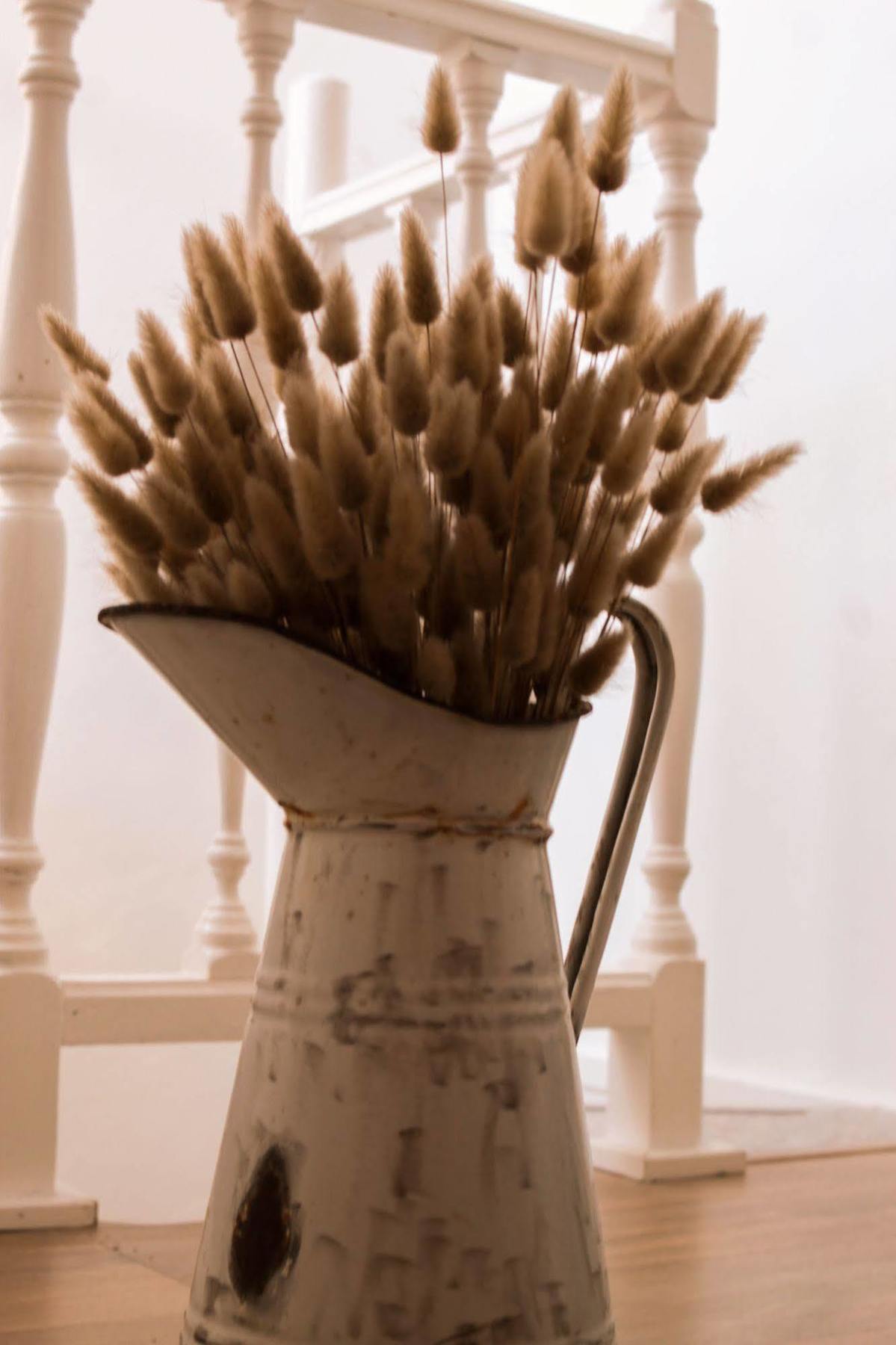 Bed & Breakfast Panorama Alghero